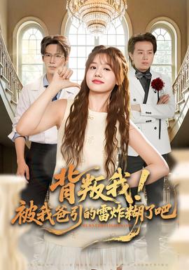大明王朝1566